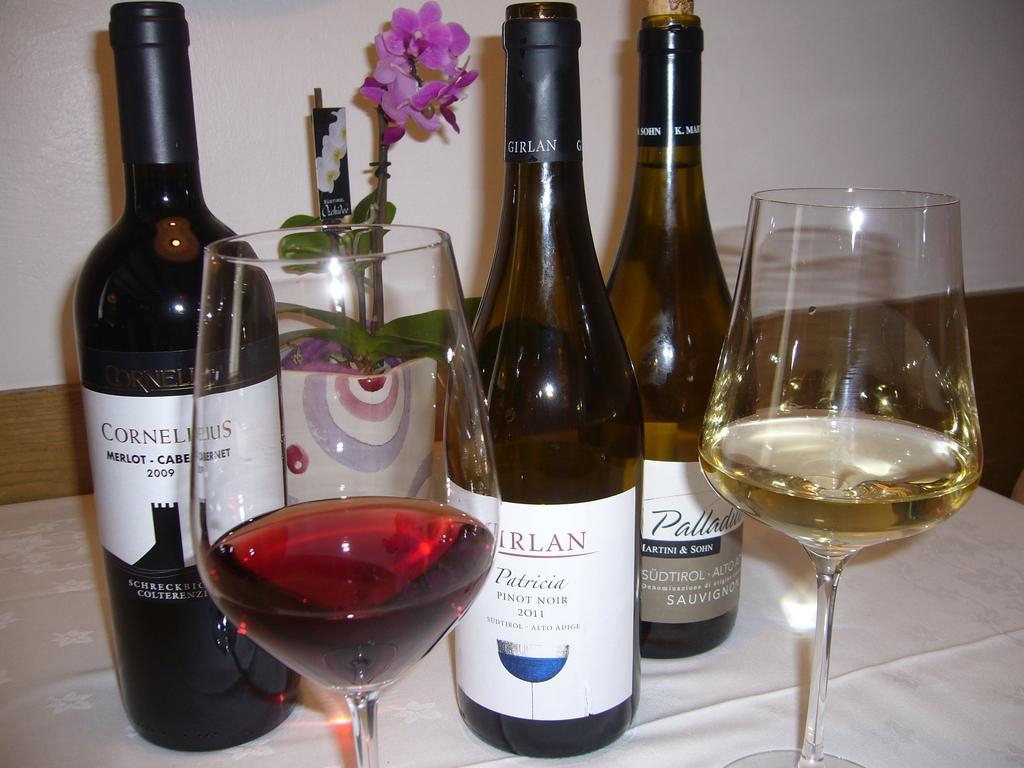 Hotel Gasthof Wastl Appiano Sulla Strada Del Vino Zewnętrze zdjęcie