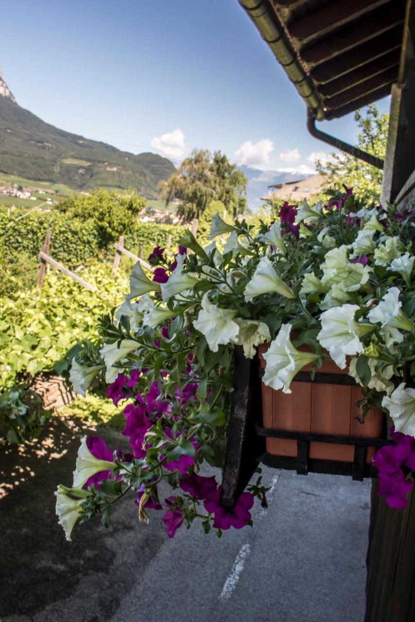 Hotel Gasthof Wastl Appiano Sulla Strada Del Vino Zewnętrze zdjęcie