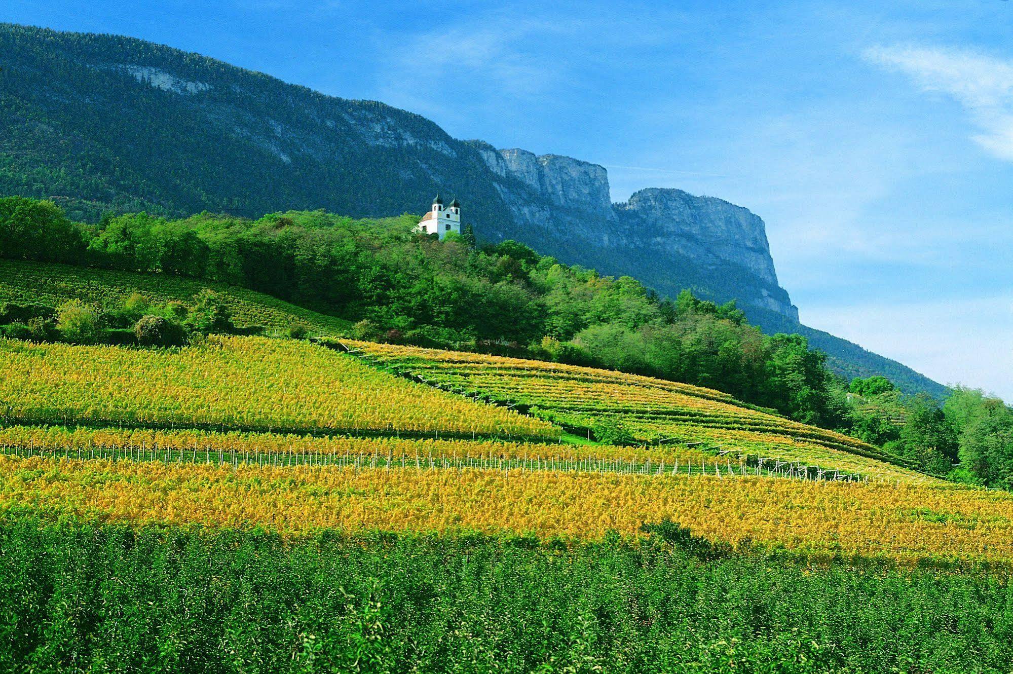 Hotel Gasthof Wastl Appiano Sulla Strada Del Vino Zewnętrze zdjęcie